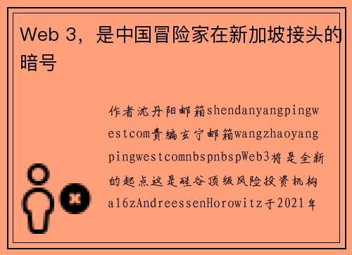 Web 3，是中国冒险家在新加坡接头的暗号